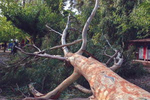 Τα προβλήματα της κακοκαιρίας στον Δήμο Ηρακλείου