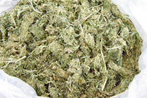 Δίωξη Ναρκωτικών: O 47χρονος ψαράς, η καταδίωξη και το χασίς στο Πέραμα