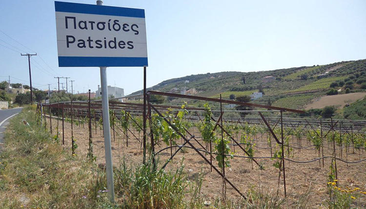 ΠΑΤΣΙΔΕΣ