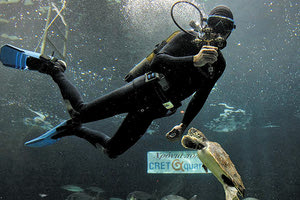 Θεοφάνια στο Ενυδρείο Κρήτης-CRETAquarium!