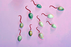 δωρητές σπέρματος