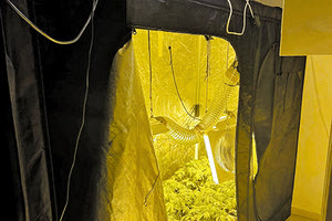 ΣΥΜΜΟΡΙΑ ΛΗΣΤΩΝ ΠΑΤΡΑΣ