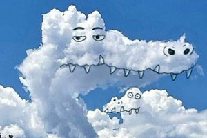 παρειδωλια