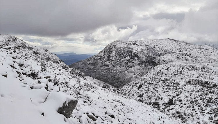 Λευκός και ο Κρουσώνας! 