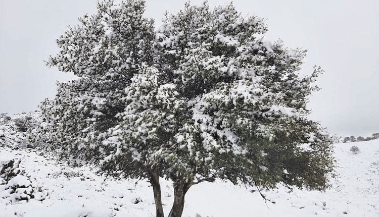 Λευκός και ο Κρουσώνας! 