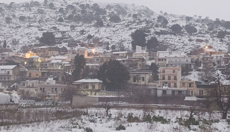 Χιονισμένο όλο το Οροπέδιο Λασιθίου