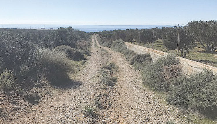  Ένα φιλέτο 500 στρεμμάτων περιμένει αξιοποίηση από τον Δήμο Ηρακλείου