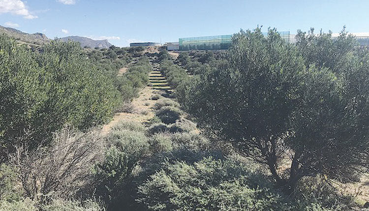  Ένα φιλέτο 500 στρεμμάτων περιμένει αξιοποίηση από τον Δήμο Ηρακλείου