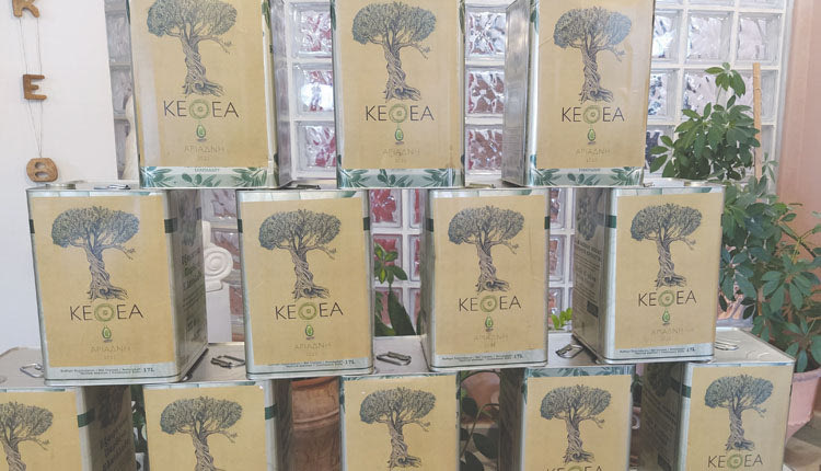 Απέδωσε καρπούς και σχεδόν… τέσσερις τόνους ελαιόλαδου (!) η συνεργασία του Δήμου Ηρακλείου και του ΚΕΘΕΑ, μέσα από την οποία αξιοποιήθηκε ένα μεγάλο αγροτικό ακίνητο του Δήμου Ηρακλείου στον μέσα Καρτερό προς όφελος κοινωνικά ευαίσθητων ομάδων