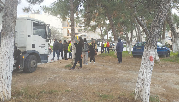 Κέρδισαν προσωρινά οι κάτοικοι για τα δέντρα