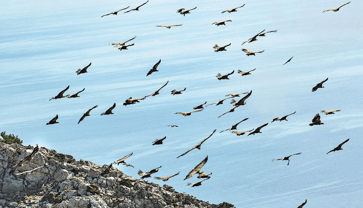Φωτογραφία 2: Σπύρος Λιαπάκης