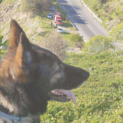 Και ο σκύλος της 3ης ΕΜΑΚ στις έρευνες 