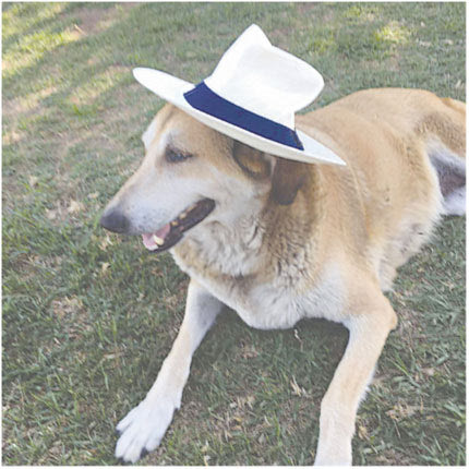 Για πάντα στο αεροδρόμιο η αγαπητή Κανέλα