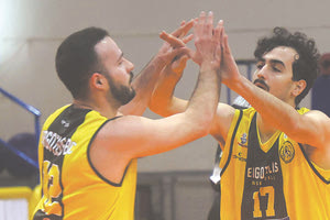 ΕΡΓΟΤΕΛΗΣ ΜΠΑΣΚΕΤ