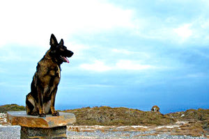 έφυγε από τη ζωή η αγαπημένη Πάκα