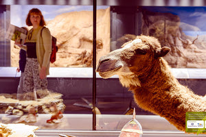 «Επιστήμονας δε γεννιέσαι, γίνεσαι» το θέμα εκδήλωσης του Μουσείου Φυσικής Ιστορίας Κρήτης