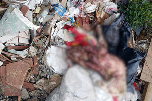 κτηνωδία με σκύλο στα σκουπίδια