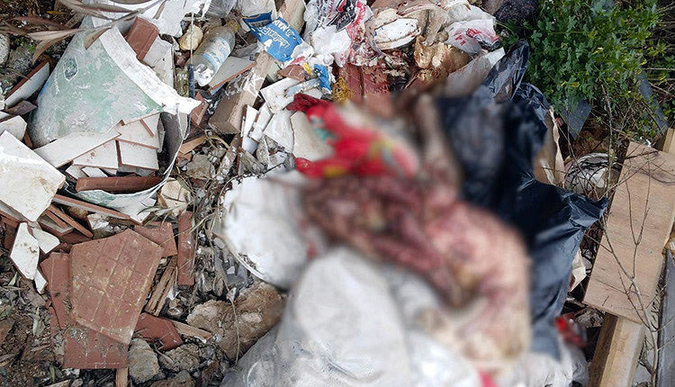 κτηνωδία με σκύλο στα σκουπίδια