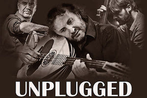 Ψαρογιώργης Trio Unplugged