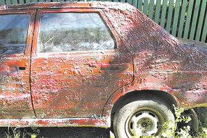 εγκαταλελειμένα στο Ηράκλειο