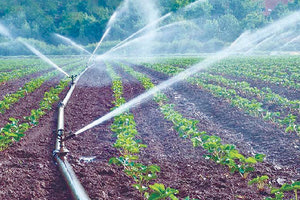ΣΕ ΔΕΥΑ, ΤΟΕΒ, ΔΗΜΟΥΣ ΚΑΙ ΟΑΚ Αποκεντρωμένη Διοίκηση: Μέτρα και αυστηρές οδηγίες για την άρδευση