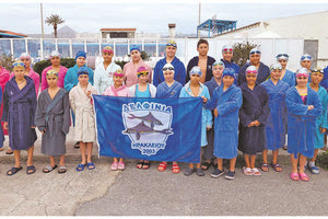 Η ομάδα των «Δελφινιών»