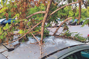 οι οδηγοί θα πρέπει να είναι ιδιαίτερα προσεκτικοί, λέγοντας πως «δεν παρκάρουμε κάτω από μεγάλα δέντρα και οι μοτοσυκλετιστές αλλά και οι οδηγοί γενικότερα, προσοχή στις έντονες ξαφνικές ριπές».