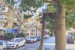 Το κομμένο κλαδί στη λ. Δημοκρατίας