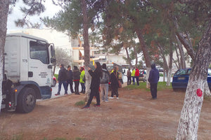 Με δικαστική απόφαση οι κοπές των δέντρων