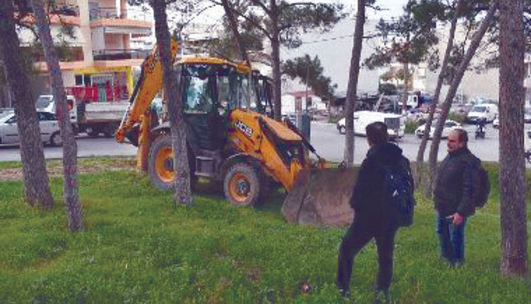 Με δικαστική απόφαση 
οι κοπές των δέντρων