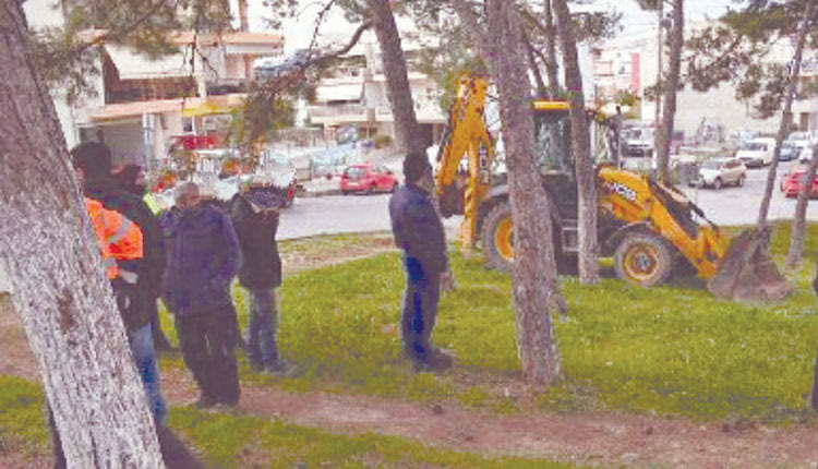 Με δικαστική απόφαση 
οι κοπές των δέντρων