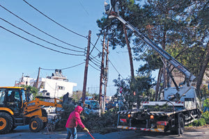 Ξεκίνησαν οι κοπές των δέντρων - Αντιδρούν οι κάτοικοι