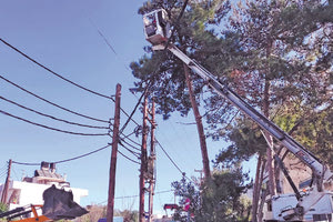Ξεκίνησαν οι κοπές των δέντρων - Αντιδρούν οι κάτοικοι