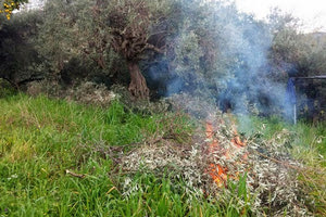 καύσεις των υπολειμμάτων από αγροτικές εργασίες