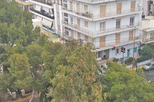 Λότζια: Διεθνής διαγωνισμός για μηχανήματα ελέγχου των δέντρων