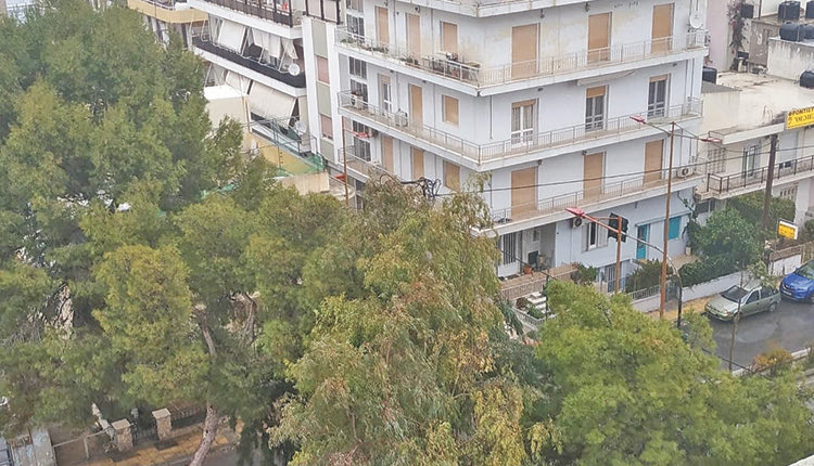 Λότζια: Διεθνής διαγωνισμός για μηχανήματα ελέγχου των δέντρων