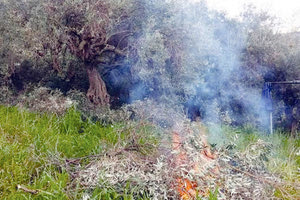 Τέλος από σήμερα οι καύσεις γεωργικών υπολειμμάτων