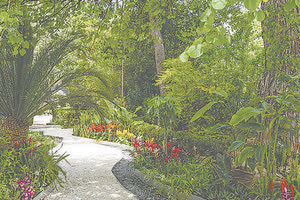 Με… τηλεχειρισμό ο έλεγχος και η άρδευση του αστικού πρασίνου