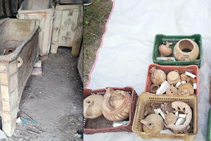 ΑΡΧΑΟΚΑΠΗΛΕΙΑ