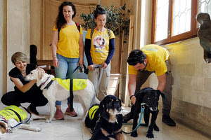 Αδέσποτα από το Κυνοκομείο του Δήμου Ηρακλείου