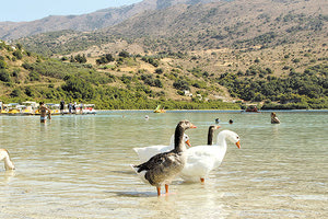 Λίμνη Κουρνά