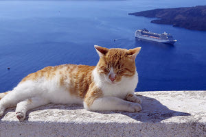 Άπιαστο όνειρο για τους Έλληνες το καλοκαίρι στο Αιγαίο