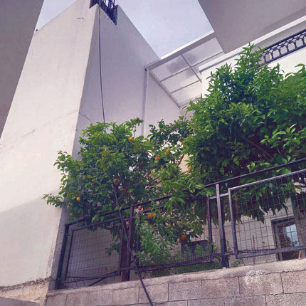 Ανάμεσα από αυλές και τοίχους σπιτιών περνούν οι ιδιωτικοί σωλήνες ύδρευσης στην περιοχή ΤΕΙ Εσταυρωμένος