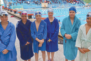 Η ομάδα των Δελφινιών