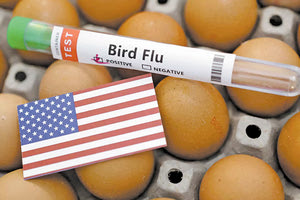 γρίπη των πτηνών