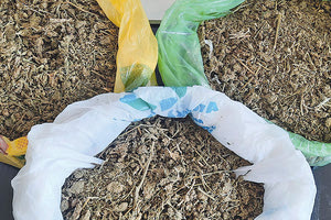 1.745 γραμ. κάνναβης