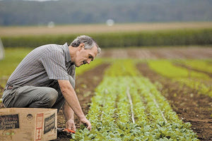 βιολογική γεωργία