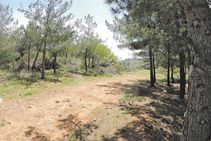 Ακόμα ένας εμπρησμός χθες στην Κέρη