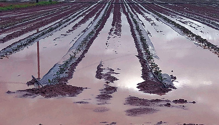 Τεράστια τα προβλήματα που υπάρχουν στην αγροτική παραγωγή