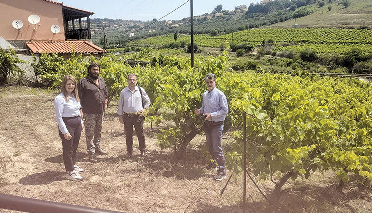 Από την αυτοψία που πραγματοποίησε 
η αντιπεριφερειάρχης